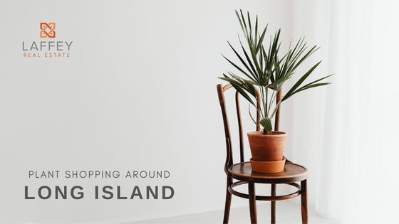 Plant Shops - Long Island, NY - Laffey Real Estate